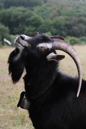 Foto: Verena Nottebom